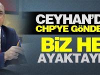 Ceyhan'dan CHP'ye gönderme: Biz hep ayaktaydık