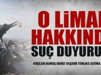 Kuşların ölümüne neden olan liman hakkında suç duyurusu