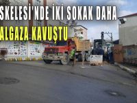 Diliskelesi’nde iki sokak daha doğalgaza kavuştu