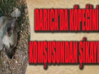 Darıca'da Köpeğini Vuran Komşusundan Şikayetçi Oldu