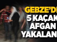 Gebze'de 5 kaçak Afgan yakalandı