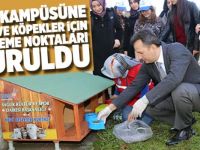 Kedi ve köpekler için besleme noktaları kuruldu