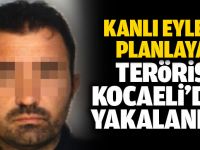 Kocaeli'de yakalandı!