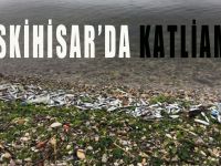 Eskihisar'da balık katliamı!