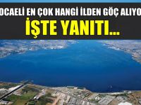 Kocaeli en çok hangi ilden göç aldı?