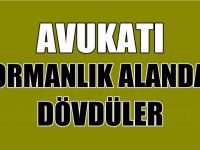 Avukatı ormanlık alanda dövdüler