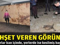 Dehşet veren görüntü!