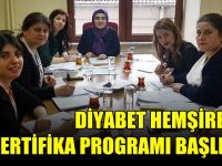 Diyabet hemşireliği sertifika programı başlıyor