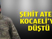 Kocaeli'ye şehit ateşi düştü