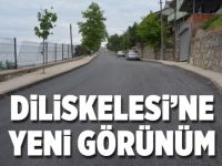 Diliskelesi’ne yeni görünüm