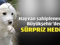 Hayvan sahiplenenlere Büyükşehir’den sürpriz hediye