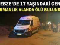 17 yaşındaki genç ormanda ölü bulundu!