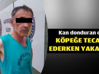 Kocaeli'de iğrenç olay