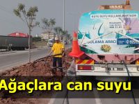 Ağaçlara can suyu