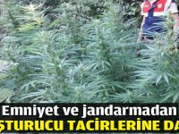 Emniyet ve jandarmadan uyuşturucu tacirlerine darbe