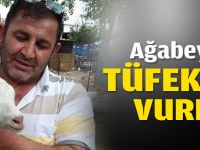 Ağabeyini tüfekle vurdu