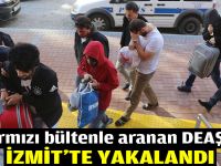 Kırmızı bültenle aranan DEAŞ'lı İzmit'te yakalandı