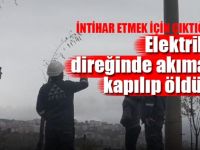Elektrik direğinde akıma kapılıp öldü