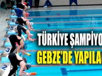 PALETLİ YÜZME ŞAMPİYONASI GEBZE'DE YAPILACAK