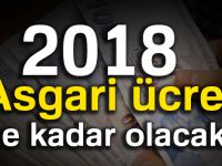 2018 yılında asgari ücret ne kadar olacak?