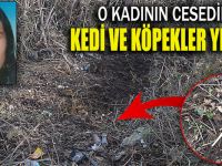 Kayıp kadının cesedini kedi ve köpekler yemiş