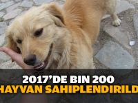 2017'de 1200 hayvan sahiplendirildi