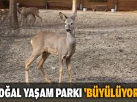 Doğal Yaşam Parkı büyülüyor