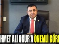 Mehmet Ali Okur’a önemli görev!