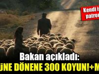 Köyüne dönene devletten 300 koyun ve maaş!