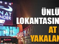 Kocaeli'deki ünlü et lokantasında at eti yakalandı