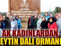 AK Kadınlardan "Zeytin Dalı" ormanı