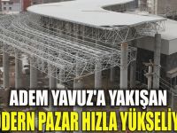 Modern Pazar Hızla Yükseliyor