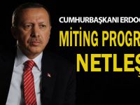 İşte Erdoğan'ın miting programı!