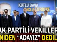 AK Partili vekiller 'adayız' dedi