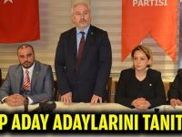 BBP aday adaylarını tanıttı