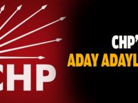 CHP'nin aday adayları!