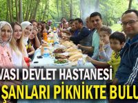 Dilovası Devlet Hastanesi çalışanları piknikte buluştu