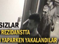 O hırsızlar alemde yakalandı!