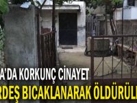 Darıca'da kan donduran olay!