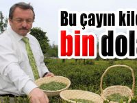 Bu Çay Gram İle Satılacak