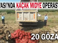 Kaçak midyecilere operasyon; 20 gözaltı