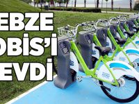 Gebze KOBİS’i Sevdi