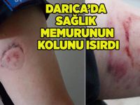 Darıca'da sağlık memurunun kolunu ısırdı