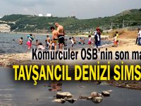 Yüzmeye gelenler şoke oldu! Simsiyah...