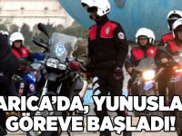 Darıca’da, Yunuslar göreve başladı!