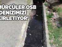 ‘Kömürcüler OSB denizimizi kirletiyor’