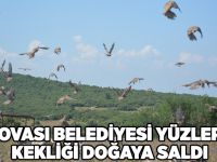 Dilovası Belediyesi Yüzlerce Kekliği Doğaya Saldı