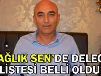 Sağlık Sen’de delege listesi belli oldu