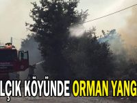 Balçık köyünde orman yangını!