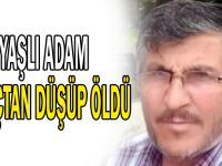 Yaşlı adam ağaçtan düşüp öldü!